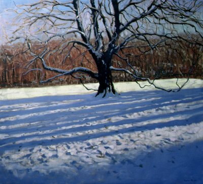 Large Tree, Snow, Calke Abbey by Andrew Macara